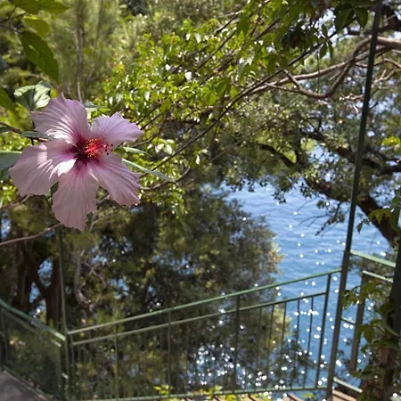 -la Positano