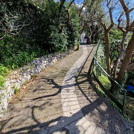 Villa - Lo Scoglio Positano